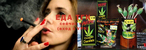 ГАЛЛЮЦИНОГЕННЫЕ ГРИБЫ Козловка