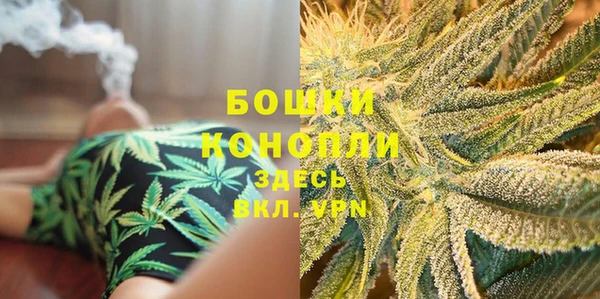 ГАЛЛЮЦИНОГЕННЫЕ ГРИБЫ Козловка