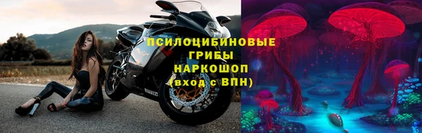 тгк Кодинск
