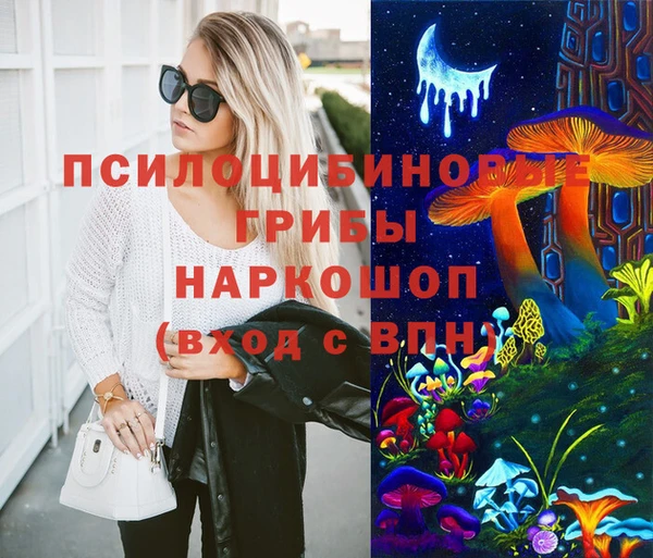 ГАЛЛЮЦИНОГЕННЫЕ ГРИБЫ Козловка