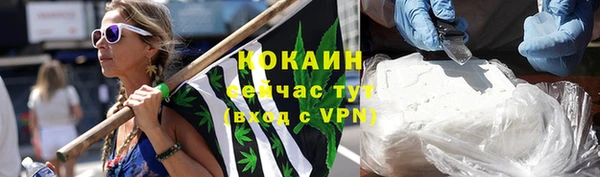 ГАЛЛЮЦИНОГЕННЫЕ ГРИБЫ Козловка
