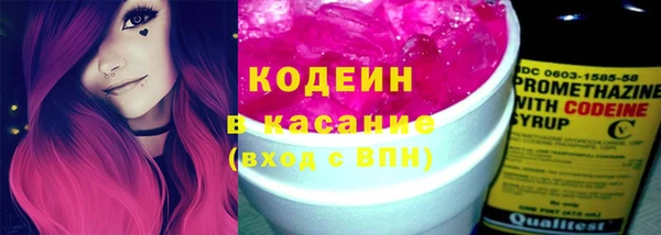 ГАЛЛЮЦИНОГЕННЫЕ ГРИБЫ Козловка