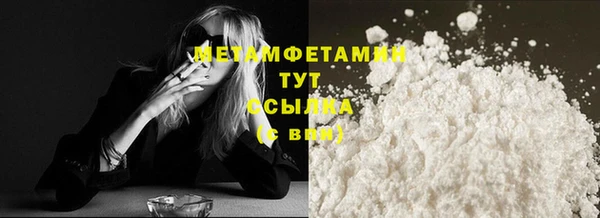ГАЛЛЮЦИНОГЕННЫЕ ГРИБЫ Козловка