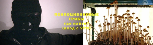 ГАЛЛЮЦИНОГЕННЫЕ ГРИБЫ Козловка