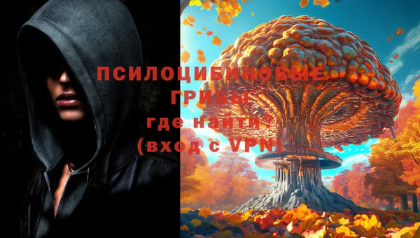 тгк Кодинск
