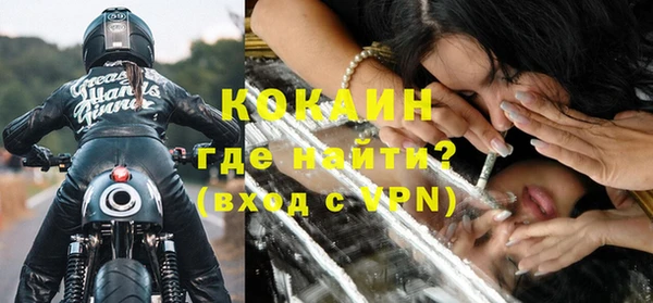 ГАЛЛЮЦИНОГЕННЫЕ ГРИБЫ Козловка