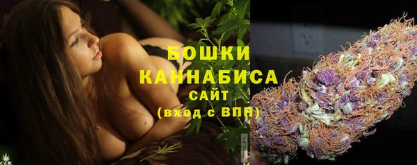 прущий лед Козельск