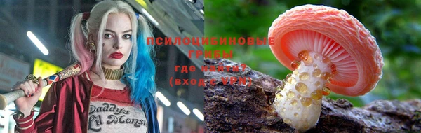 ГАЛЛЮЦИНОГЕННЫЕ ГРИБЫ Козловка