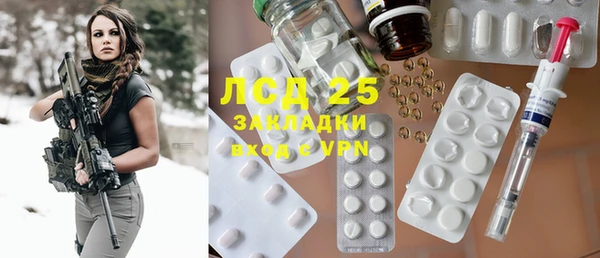 ГАЛЛЮЦИНОГЕННЫЕ ГРИБЫ Козловка