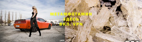 ГАЛЛЮЦИНОГЕННЫЕ ГРИБЫ Козловка
