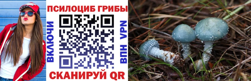 Купить  Шебекино  Псилоцибиновые грибы Magic Shrooms 